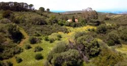 Lapponi: 1 Ha Plot for Sale Near the Sea, building Permission, 6 Km from the Rena Maiore Beach, Northen Sardinia