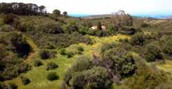 Lapponi: 1.4 Ha Plot for Sale Near the Sea, building Permission, 6 Km from the Rena Maiore Beach, Northen Sardinia