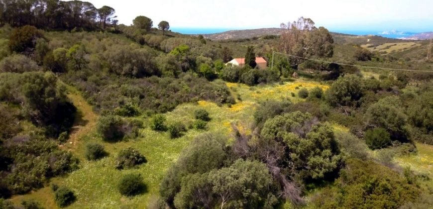 Lapponi: 1 Ha Plot for Sale Near the Sea, building Permission, 6 Km from the Rena Maiore Beach, Northen Sardinia