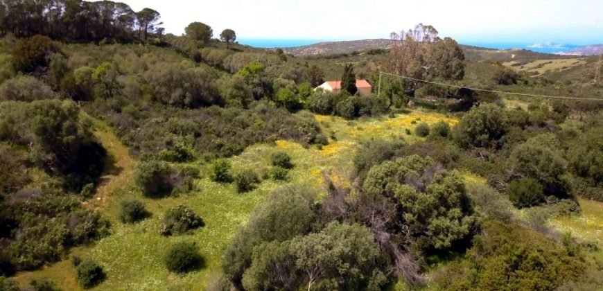 Lapponi: 1.4 Ha Plot for Sale Near the Sea, building Permission, 6 Km from the Rena Maiore Beach, Northen Sardinia