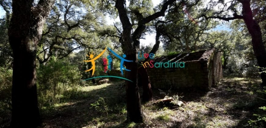 120M2 Ruin and 3,9 Ha Land for Sale in Calangianus, Northern Sardinia