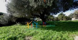 Attractive 3 Ha Land and 60 M2 Farmhouse for Sale in Li Casareddi Near Porto Cervo, North East Sardinia