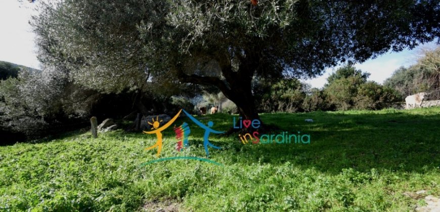 Attractive 3 Ha Land and 60 M2 Farmhouse for Sale in Li Casareddi Near Porto Cervo, North East Sardinia