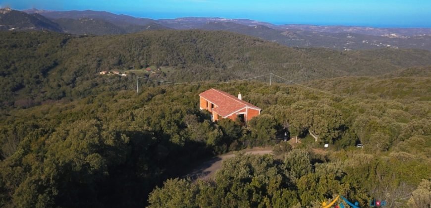 Sardinian Style Villa With Land for Sale in Luogosanto, North East Sardinia