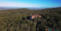 Sardinian Style Villa With Land for Sale in Luogosanto, North East Sardinia