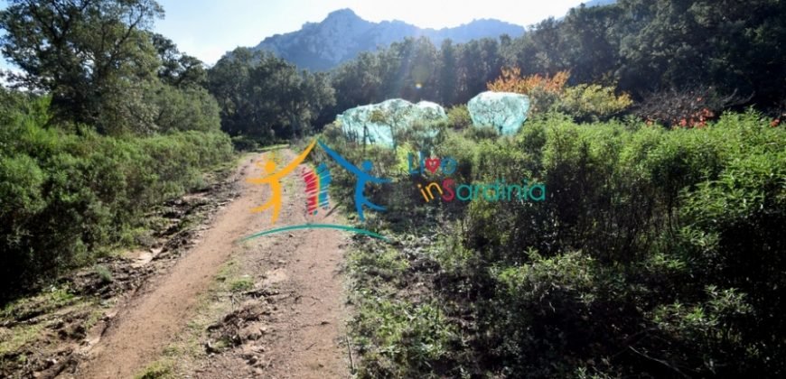 120M2 Ruin and 3,9 Ha Land for Sale in Calangianus, Northern Sardinia