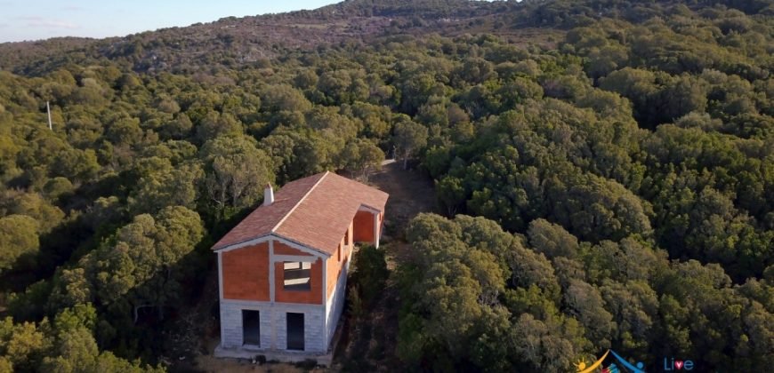 Sardinian Style Villa With Land for Sale in Luogosanto, North East Sardinia