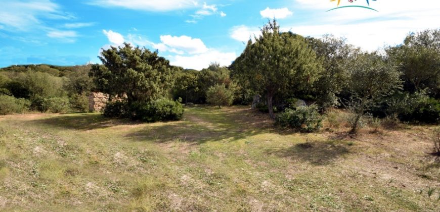 Superb Unfinished Rural Villas With 3,4 Ha for Sale Near Olbia, North Sardinia