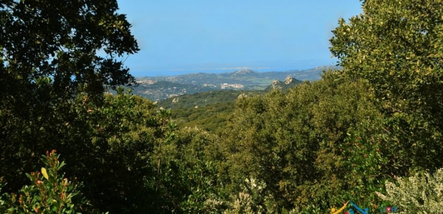 Sardinian Style Villa With Land for Sale in Luogosanto, North East Sardinia