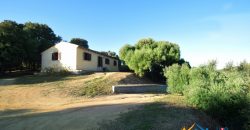 Attractive 260 M2 Country Home for Sale in Crisciuleddu Near Porto Cervo, North East Sardinia