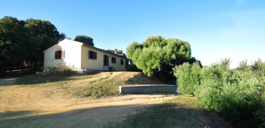 Attractive 260 M2 Country Home for Sale in Crisciuleddu Near Porto Cervo, North East Sardinia