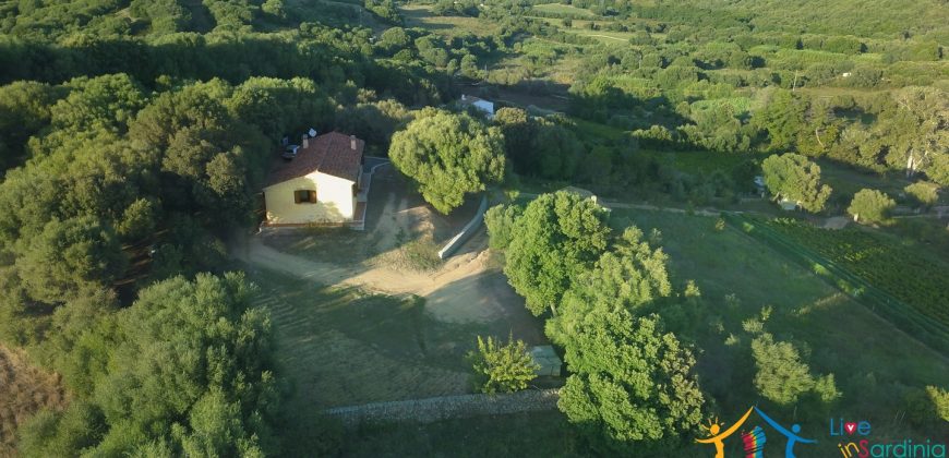 Attractive 260 M2 Country Home for Sale in Crisciuleddu Near Porto Cervo, North East Sardinia