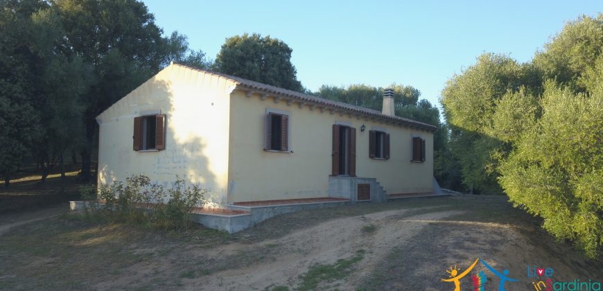 Attractive 260 M2 Country Home for Sale in Crisciuleddu Near Porto Cervo, North East Sardinia