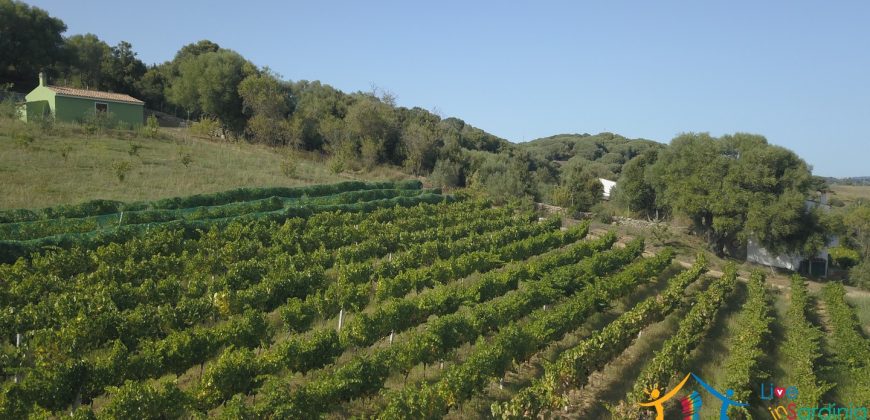 Attractive 260 M2 Country Home for Sale in Crisciuleddu Near Porto Cervo, North East Sardinia