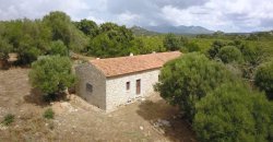 Traditional Farmhouse for Sale in Telti, Near Olbia, North Sardinia