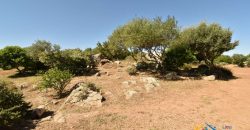 Wonderful 230 M2 Country Home and 1 Ha Land for Sale in Arzachena, North East Sardinia