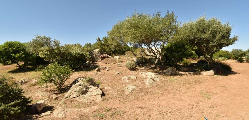 Wonderful 230 M2 Country Home and 1 Ha Land for Sale in Arzachena, North East Sardinia