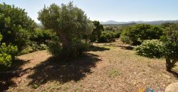 Wonderful 230 M2 Country Home and 1 Ha Land for Sale in Arzachena, North East Sardinia