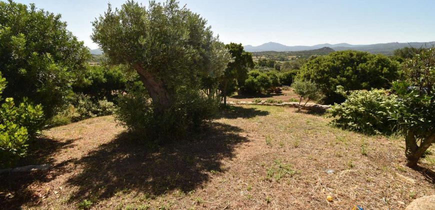 Wonderful 230 M2 Country Home and 1 Ha Land for Sale in Arzachena, North East Sardinia