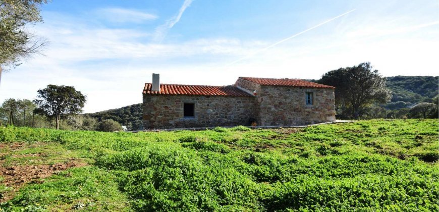 Traditional 14 Ha Land and Farmhouse for Sale in Luogosanto 30 Km from Porto Cervo