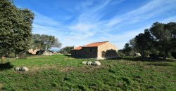 Traditional 14 Ha Land and Farmhouse for Sale in Luogosanto 30 Km from Porto Cervo