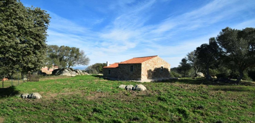 Traditional 14 Ha Land and Farmhouse for Sale in Luogosanto 30 Km from Porto Cervo