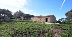 Traditional 14 Ha Land and Farmhouse for Sale in Luogosanto 30 Km from Porto Cervo