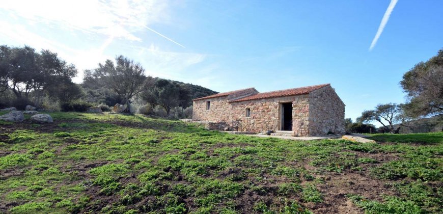 Traditional 14 Ha Land and Farmhouse for Sale in Luogosanto 30 Km from Porto Cervo
