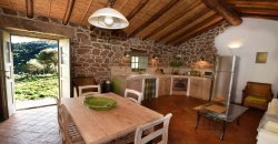 Traditional 14 Ha Land and Farmhouse for Sale in Luogosanto 30 Km from Porto Cervo