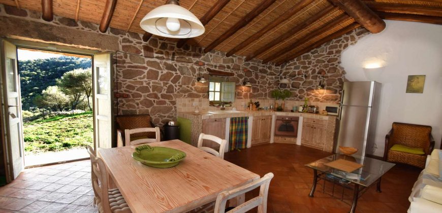 Traditional 14 Ha Land and Farmhouse for Sale in Luogosanto 30 Km from Porto Cervo