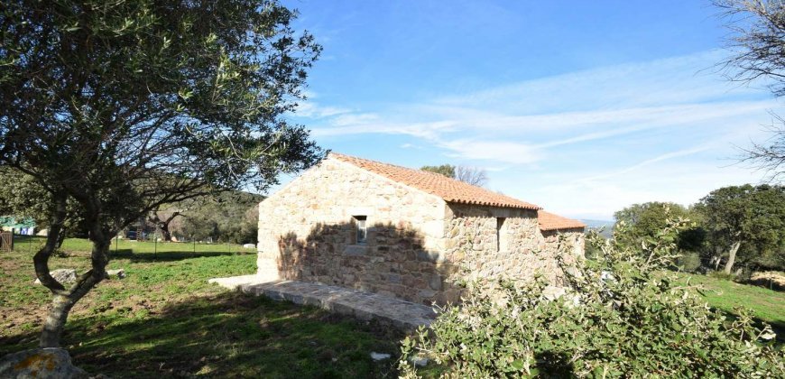 Traditional 14 Ha Land and Farmhouse for Sale in Luogosanto 30 Km from Porto Cervo