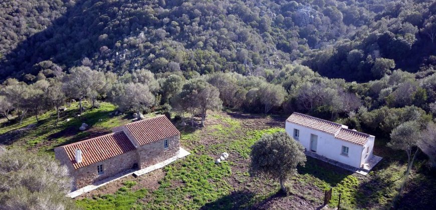 Traditional 14 Ha Land and Farmhouse for Sale in Luogosanto 30 Km from Porto Cervo