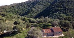 Traditional 14 Ha Land and Farmhouse for Sale in Luogosanto 30 Km from Porto Cervo