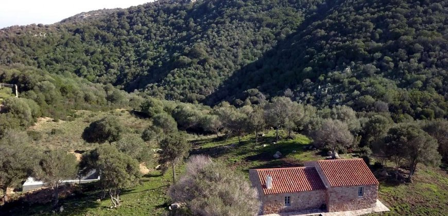 Traditional 14 Ha Land and Farmhouse for Sale in Luogosanto 30 Km from Porto Cervo