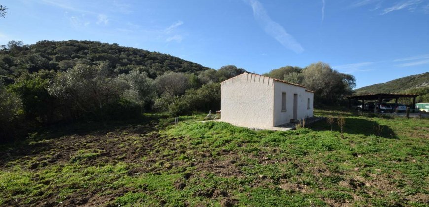 Traditional 14 Ha Land and Farmhouse for Sale in Luogosanto 30 Km from Porto Cervo