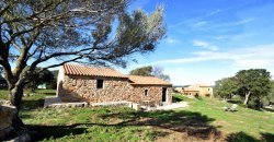 Traditional 14 Ha Land and Farmhouse for Sale in Luogosanto 30 Km from Porto Cervo