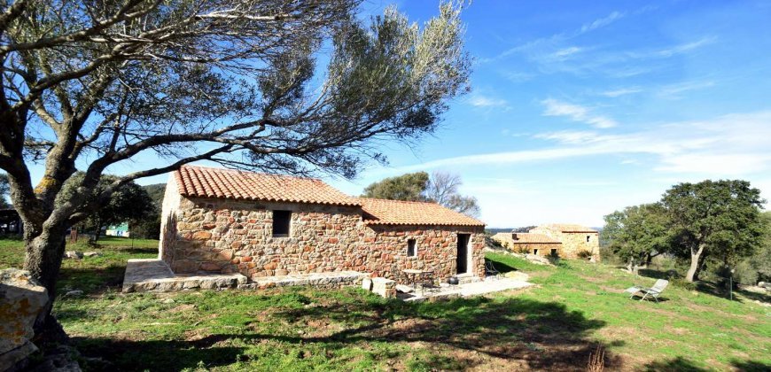 Traditional 14 Ha Land and Farmhouse for Sale in Luogosanto 30 Km from Porto Cervo