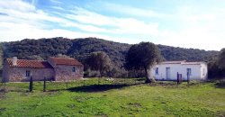 Traditional 14 Ha Land and Farmhouse for Sale in Luogosanto 30 Km from Porto Cervo