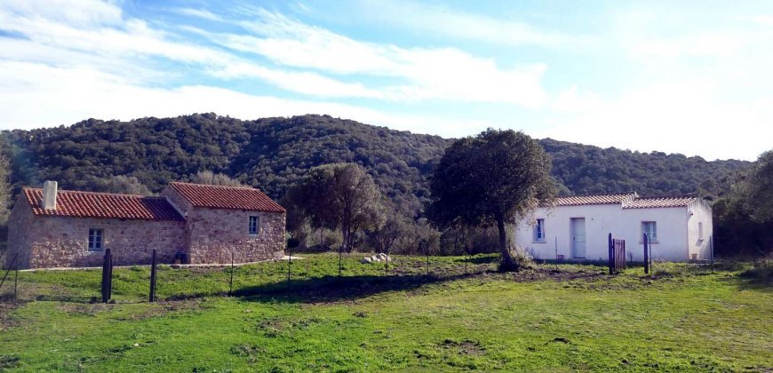 Traditional 14 Ha Land and Farmhouse for Sale in Luogosanto 30 Km from Porto Cervo