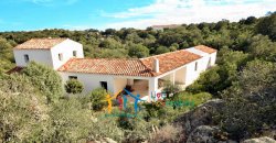 Superb Unfinished Rural Villas With 3,4 Ha for Sale Near Olbia, North Sardinia