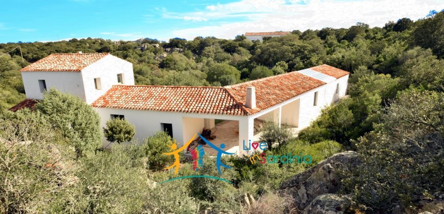 Superb Unfinished Rural Villas With 3,4 Ha for Sale Near Olbia, North Sardinia