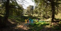 Fabolous 10 Ha Land and 86 M2 Farmhouse for Sale in Luogosanto 23 Km from Arzachena North Sardinia
