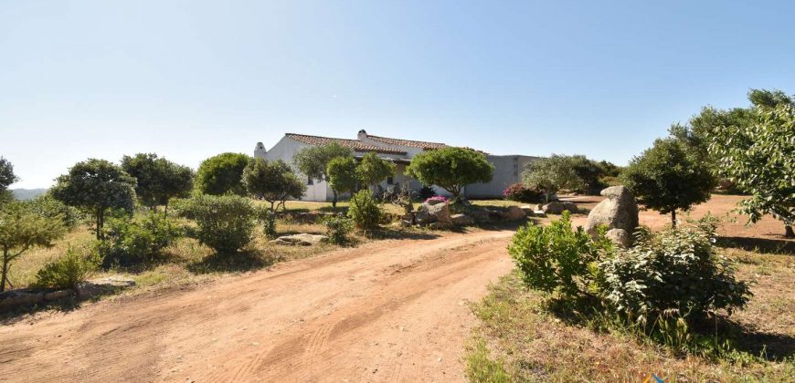 Wonderful 230 M2 Country Home and 1 Ha Land for Sale in Arzachena, North East Sardinia