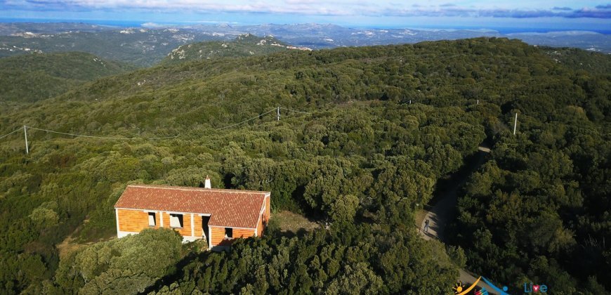 Sardinian Style Villa With Land for Sale in Luogosanto, North East Sardinia