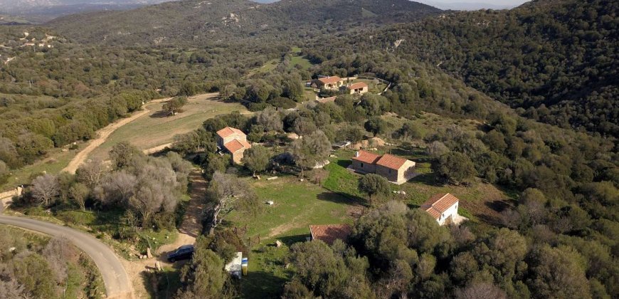 Traditional 14 Ha Land and Farmhouse for Sale in Luogosanto 30 Km from Porto Cervo