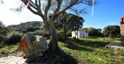 Traditional 14 Ha Land and Farmhouse for Sale in Luogosanto 30 Km from Porto Cervo