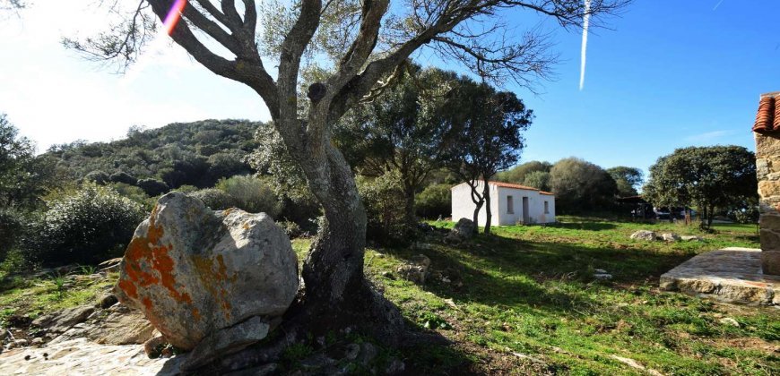 Traditional 14 Ha Land and Farmhouse for Sale in Luogosanto 30 Km from Porto Cervo