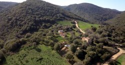 Traditional 14 Ha Land and Farmhouse for Sale in Luogosanto 30 Km from Porto Cervo