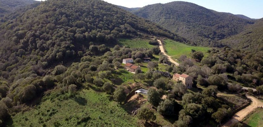 Traditional 14 Ha Land and Farmhouse for Sale in Luogosanto 30 Km from Porto Cervo