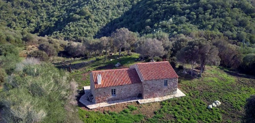 Traditional 14 Ha Land and Farmhouse for Sale in Luogosanto 30 Km from Porto Cervo